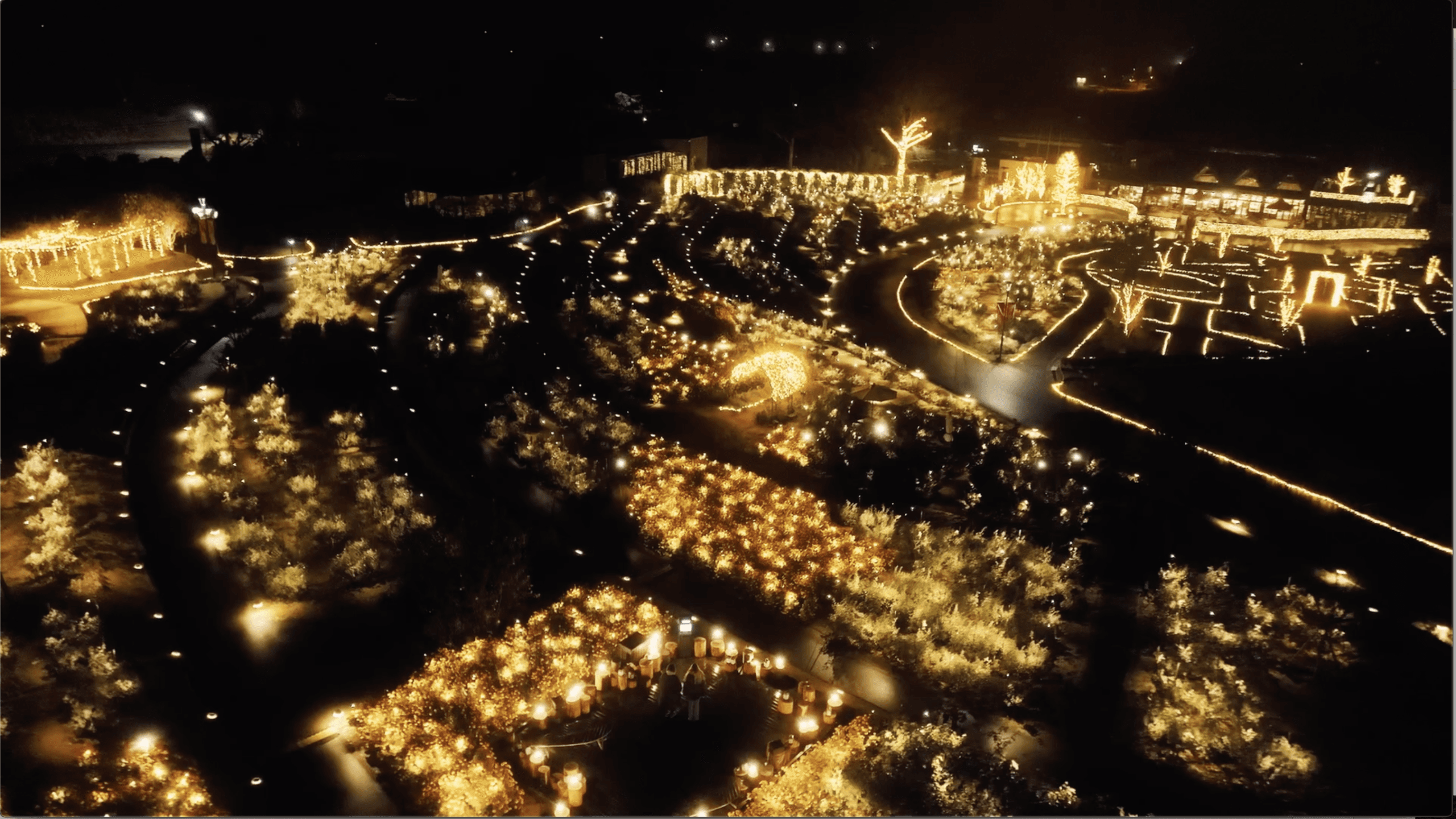 Moonlight Rose Garden 2022